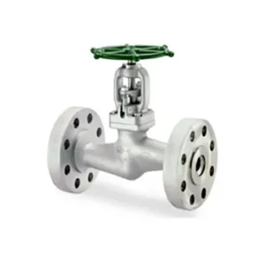 Piston(Lift) Check Valves-Bolted Bonnet