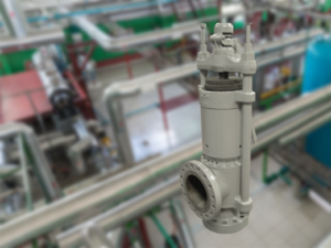 Type 3700 Main Steam Maxiflow™ Safety valve