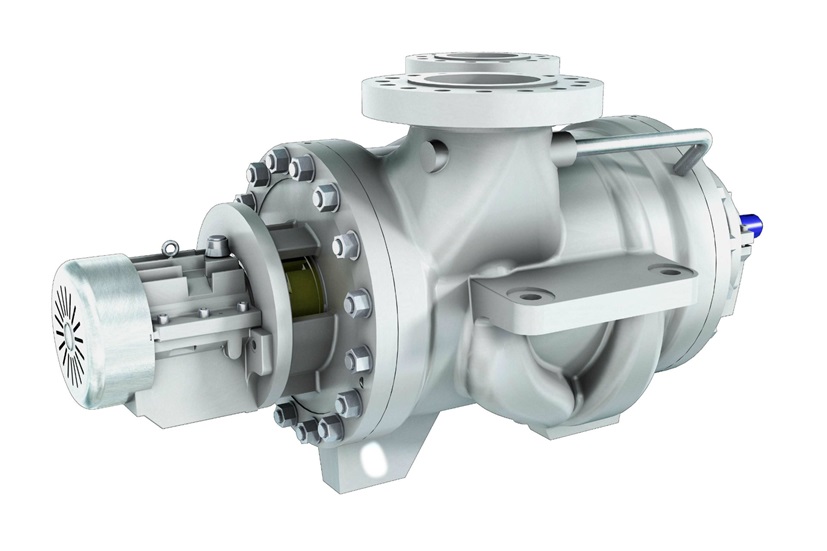 BBT and BBTD between bearings two stage pumps