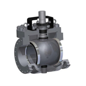 McCANNA Top Entry Ball Valves