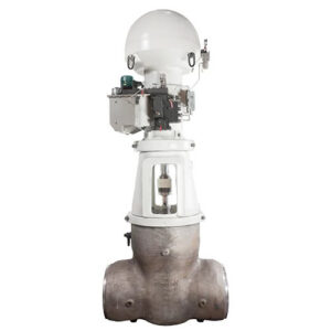 Edward Flexible Split Wedge Gate Valves-Equiwedge Main Steam Isolation Valve