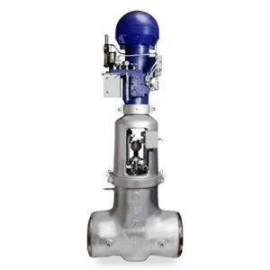 Edward Flexible Split Wedge Gate Valves-Equiwedge Main Feedwater Isolation Valve