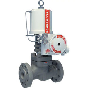 Valtek Linear Globe/Angle Control Valves-Mark One