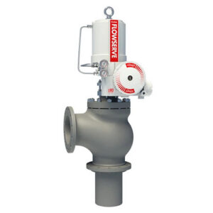 Valtek Erosion Resistant Control Valves-Survivor