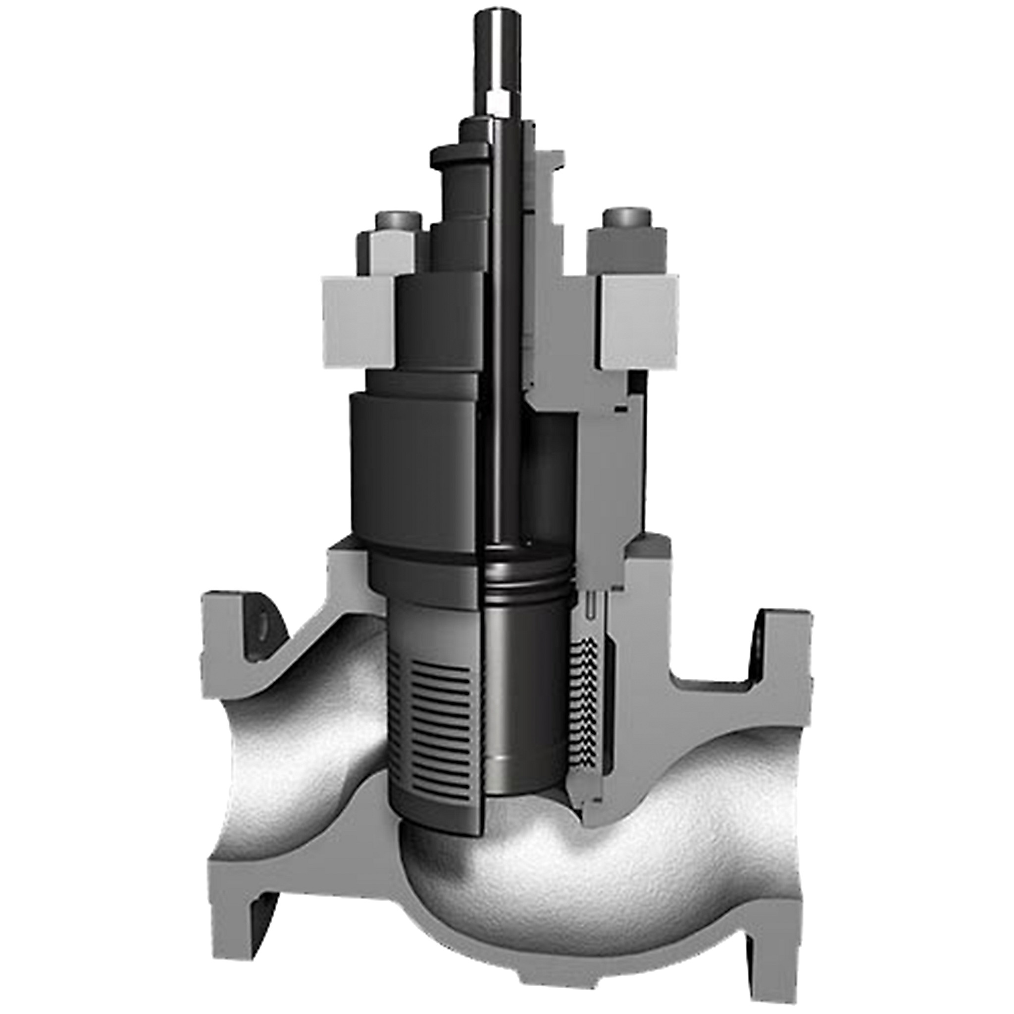 Noise Reduction Control Valves-TigerTooth