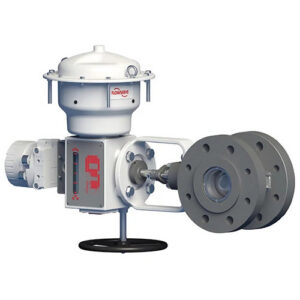 Valtek Eccentric Plug-MaxFlo 4