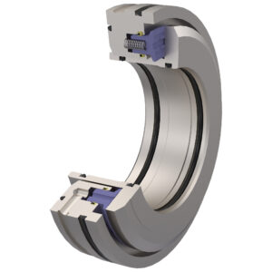 Flowserve Compressor Seals And Systems-Axialpac DS