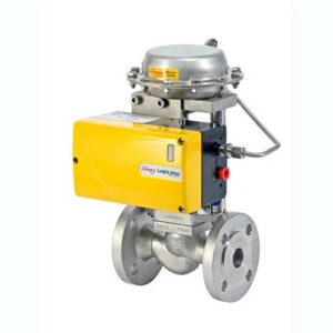 Kammer Linear Globe/Angle Control Valves-SmallFlow