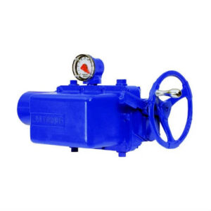 Limitorque Intrusive Multi-Turn Actuators-SMB