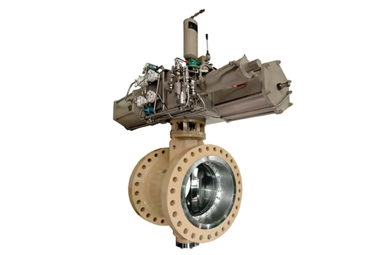 Neles butterfly valve, series BW